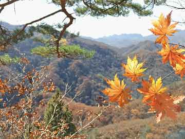 韩国最大在野党称立即启动对韩德洙的弹劾程序|界面新闻 · 快讯